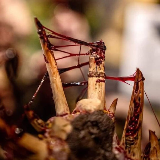 Dirty Down Gore 15ml bottle showcasing realistic blood effect paint for miniatures and props.