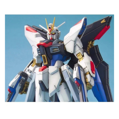 Bandai MG Strike Freedom Gundam 1/100 fully built with wings deployed and beam rifles drawn
